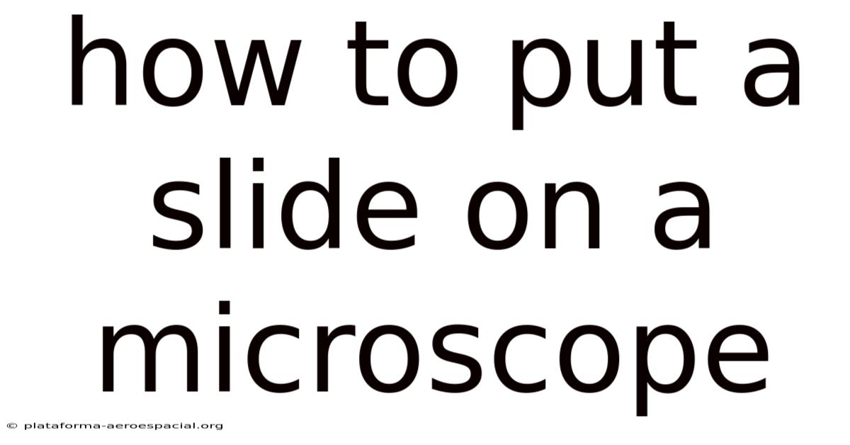 How To Put A Slide On A Microscope