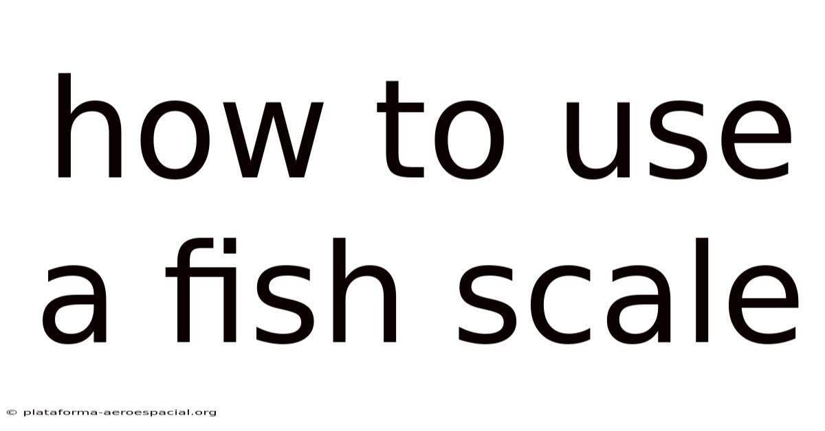 How To Use A Fish Scale