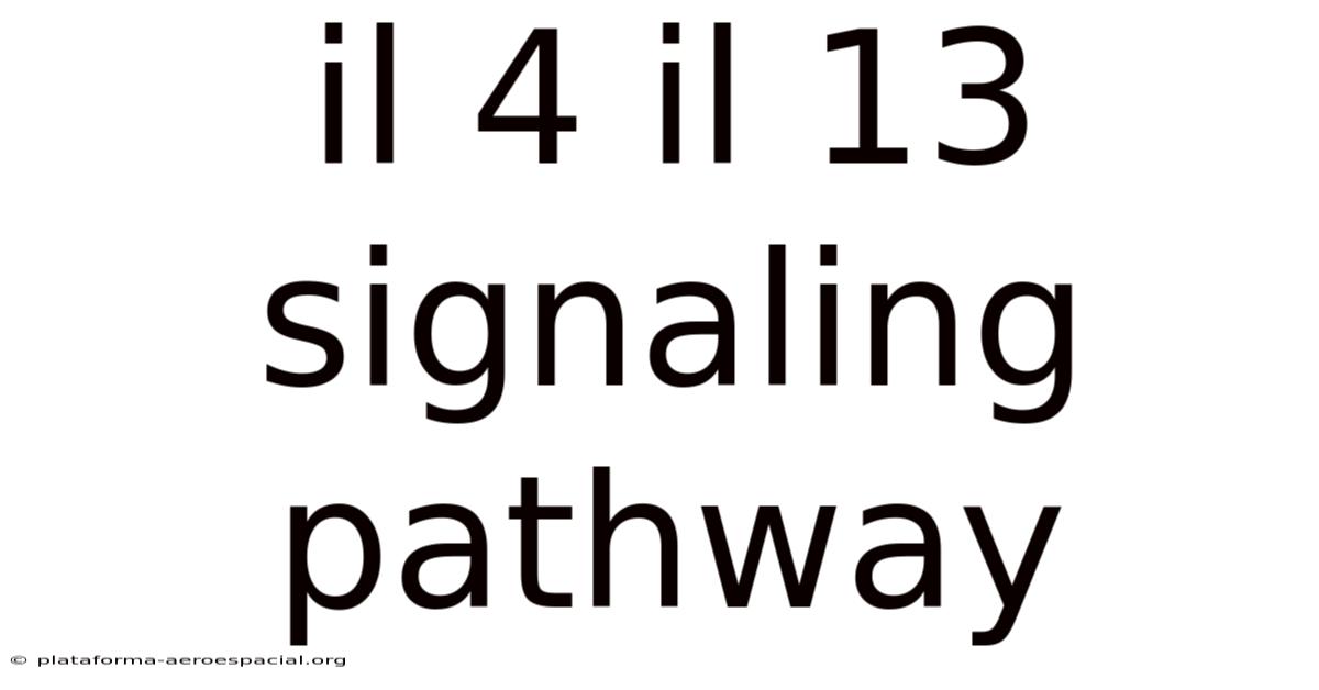Il 4 Il 13 Signaling Pathway