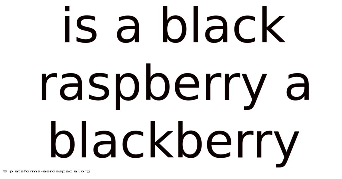 Is A Black Raspberry A Blackberry