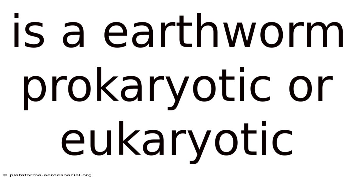 Is A Earthworm Prokaryotic Or Eukaryotic