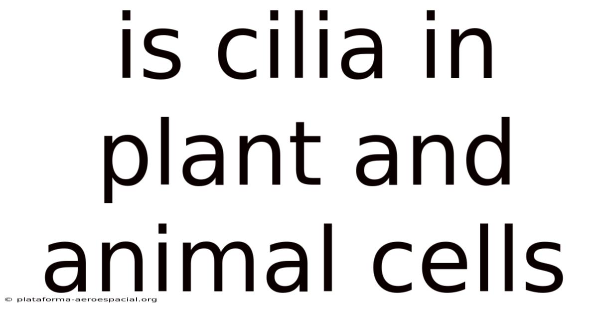 Is Cilia In Plant And Animal Cells