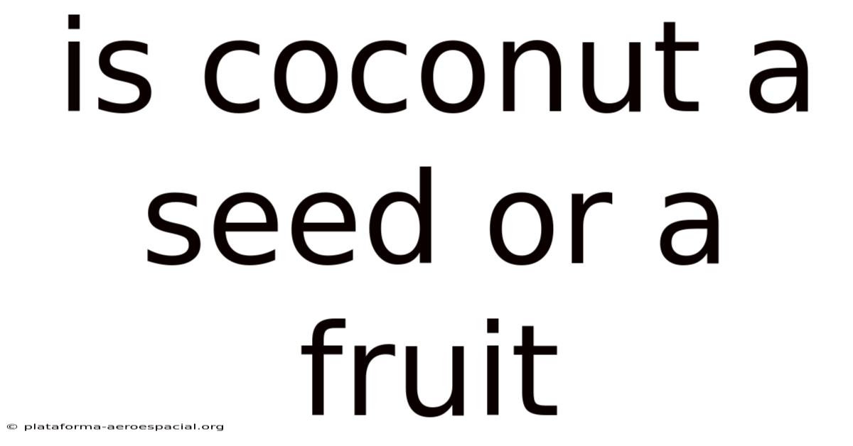 Is Coconut A Seed Or A Fruit