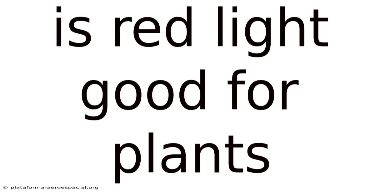 Is Red Light Good For Plants