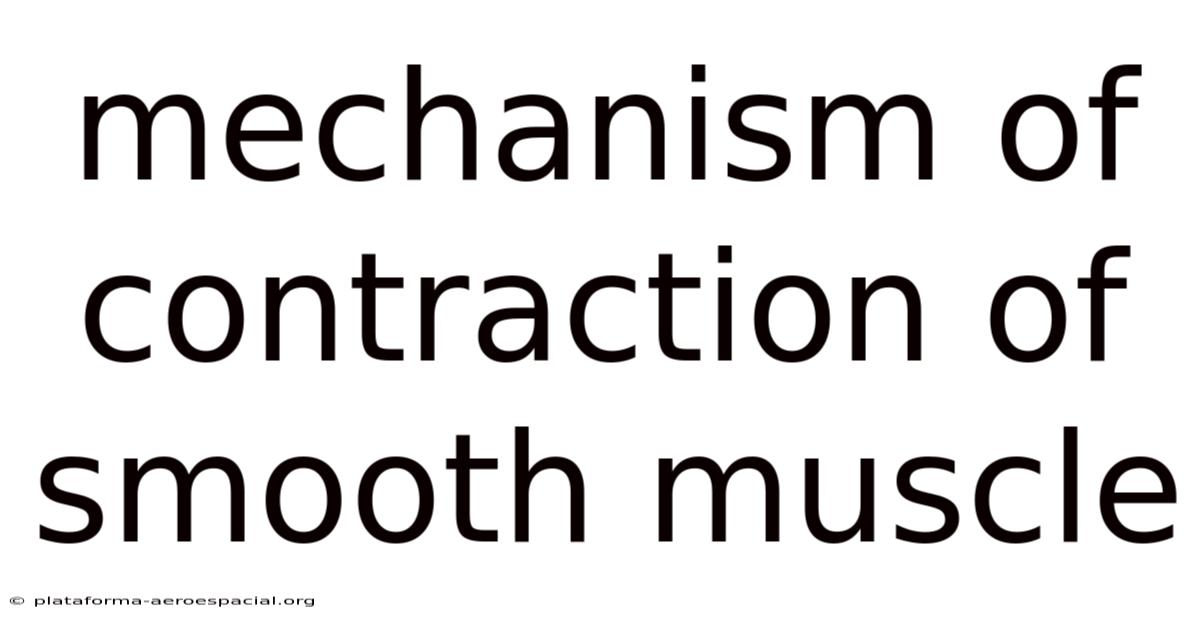 Mechanism Of Contraction Of Smooth Muscle