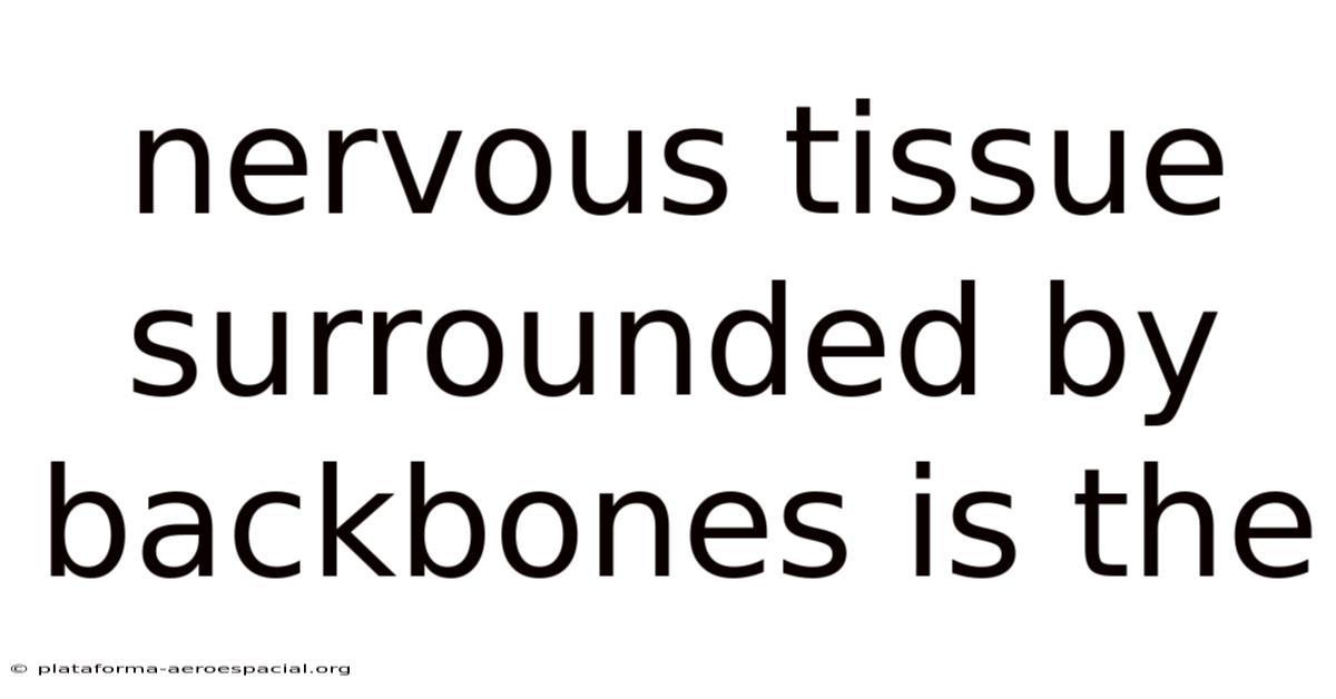 Nervous Tissue Surrounded By Backbones Is The