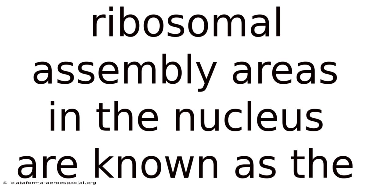 Ribosomal Assembly Areas In The Nucleus Are Known As The
