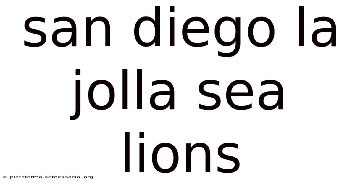San Diego La Jolla Sea Lions