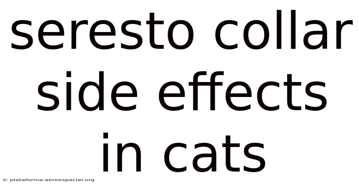 Seresto Collar Side Effects In Cats