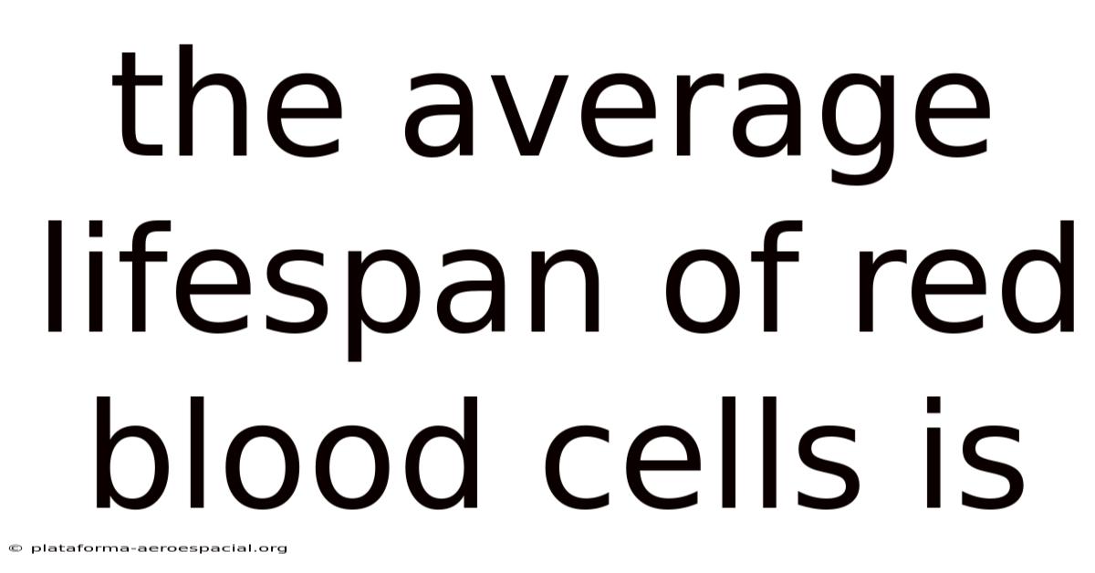 The Average Lifespan Of Red Blood Cells Is