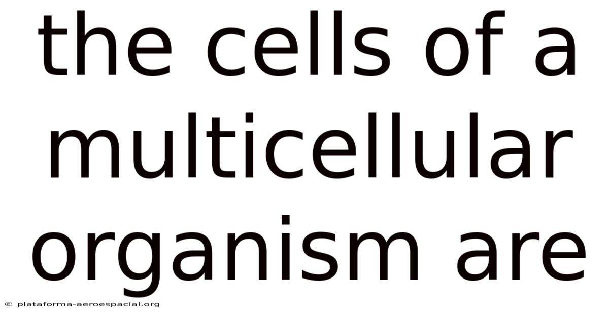 The Cells Of A Multicellular Organism Are