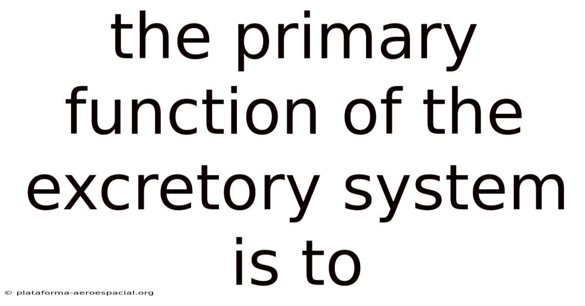 The Primary Function Of The Excretory System Is To