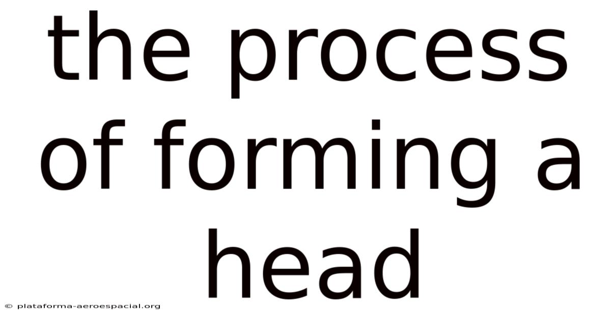 The Process Of Forming A Head