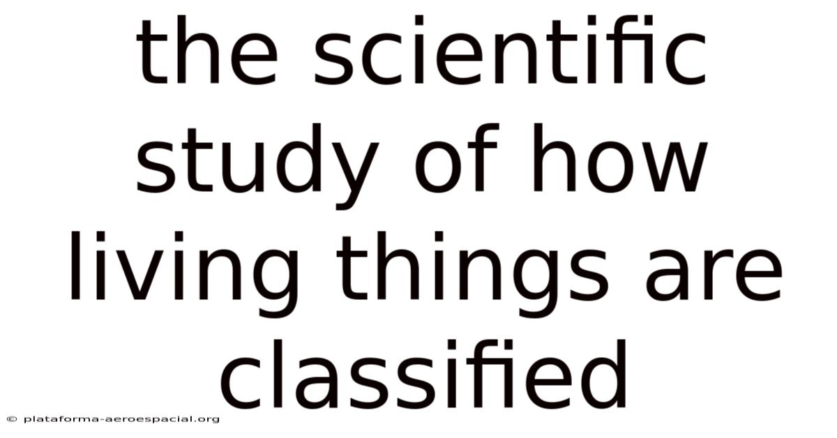 The Scientific Study Of How Living Things Are Classified
