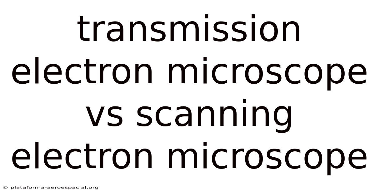 Transmission Electron Microscope Vs Scanning Electron Microscope