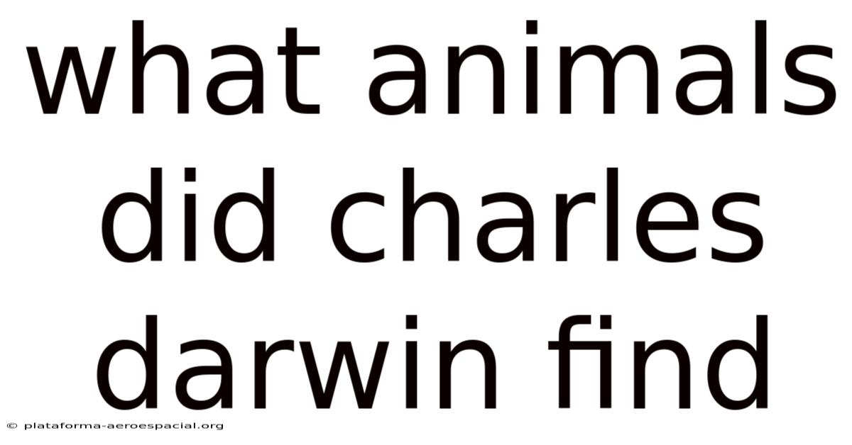 What Animals Did Charles Darwin Find