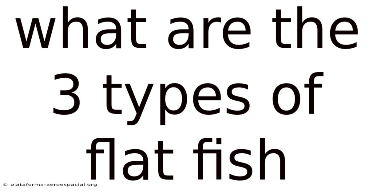 What Are The 3 Types Of Flat Fish