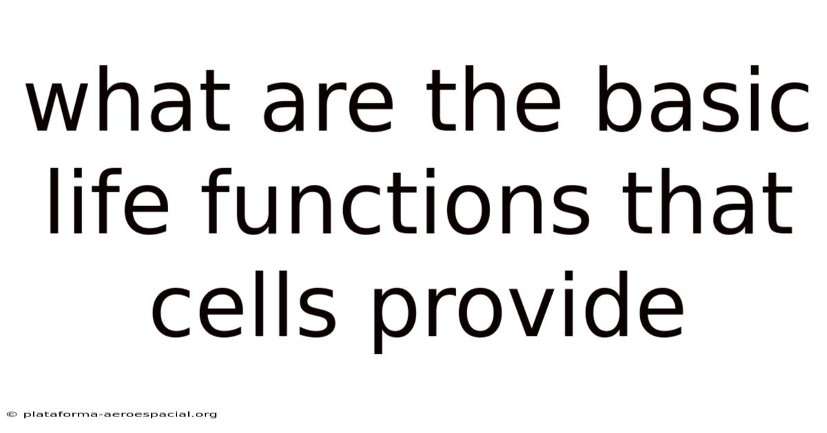 What Are The Basic Life Functions That Cells Provide