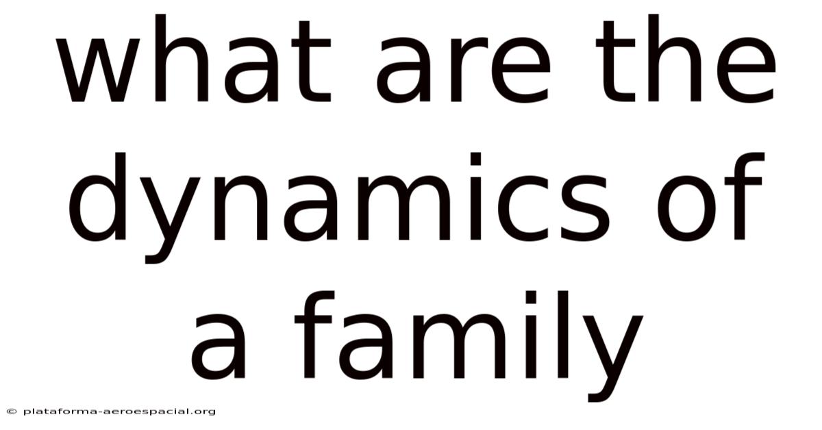 What Are The Dynamics Of A Family