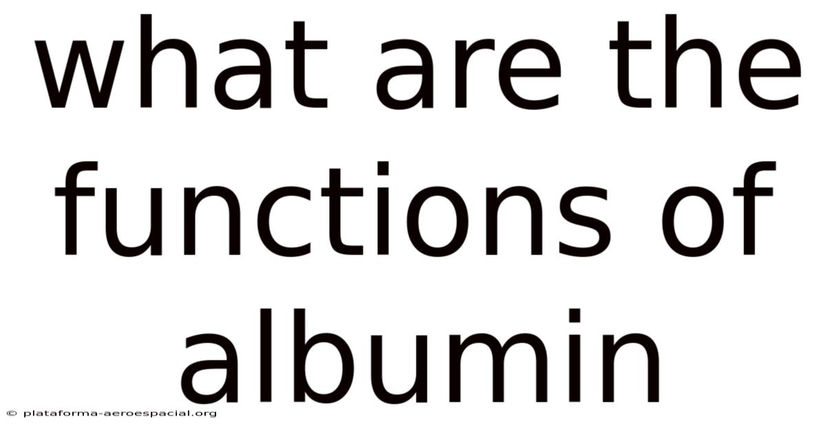 What Are The Functions Of Albumin