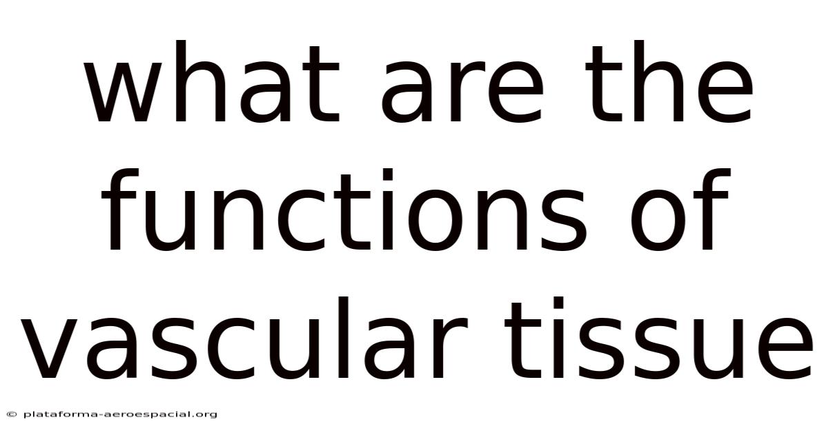 What Are The Functions Of Vascular Tissue