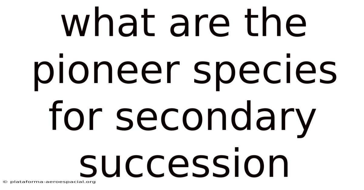 What Are The Pioneer Species For Secondary Succession
