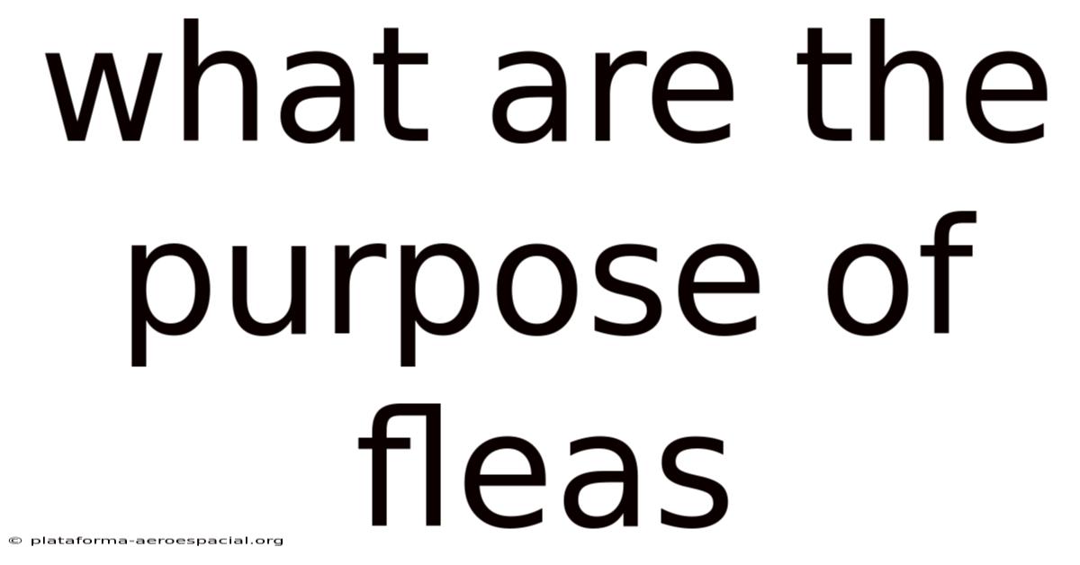 What Are The Purpose Of Fleas