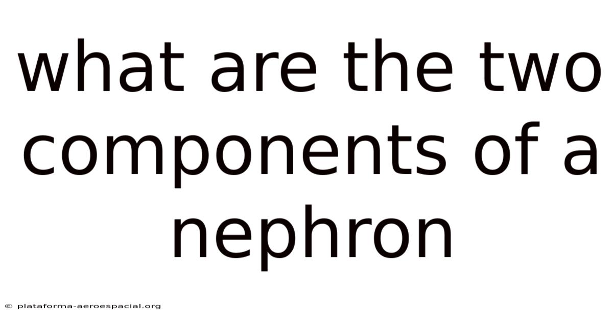 What Are The Two Components Of A Nephron