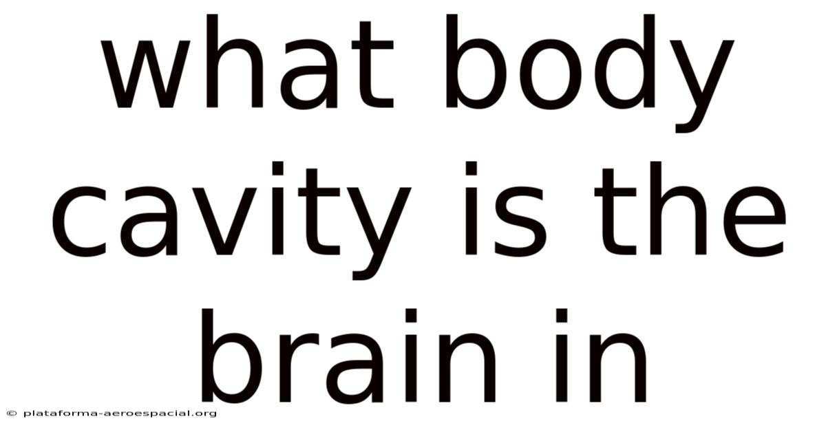 What Body Cavity Is The Brain In
