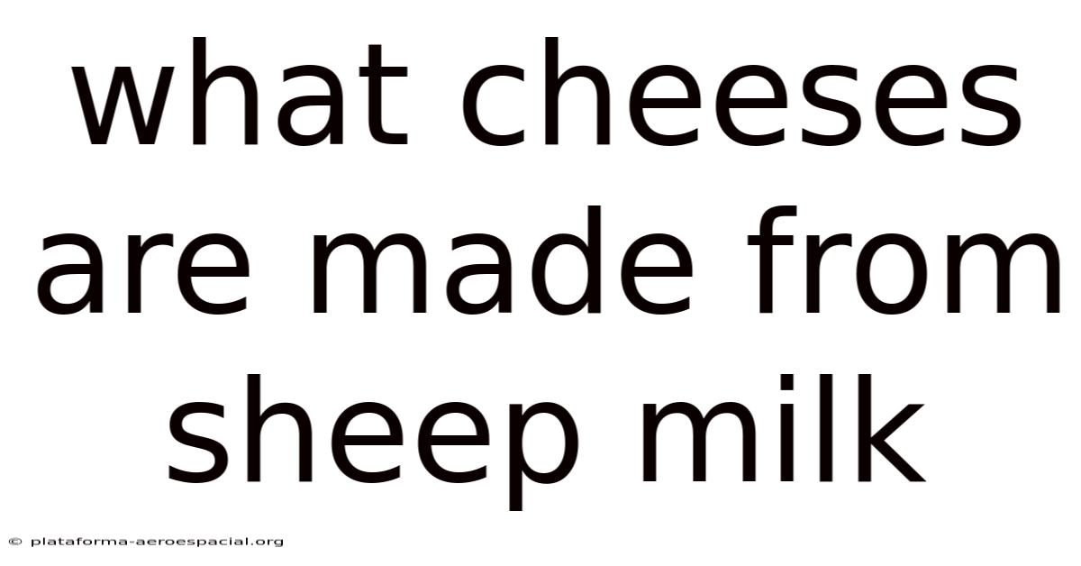 What Cheeses Are Made From Sheep Milk