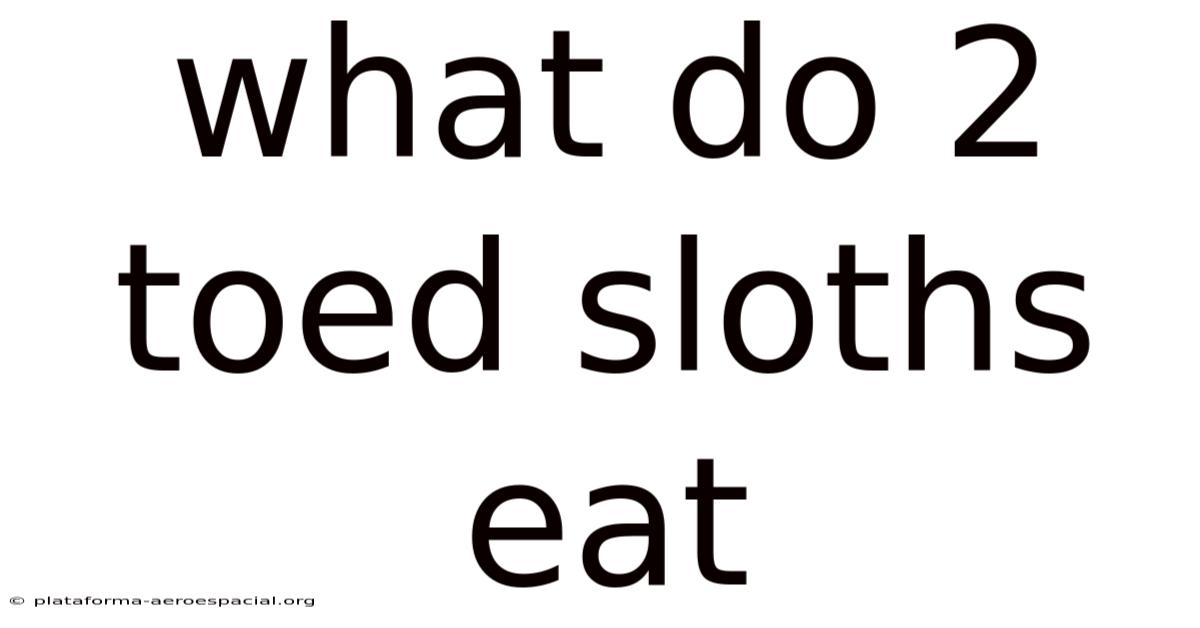 What Do 2 Toed Sloths Eat