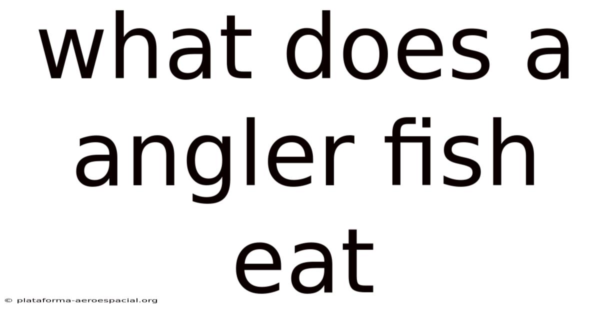 What Does A Angler Fish Eat