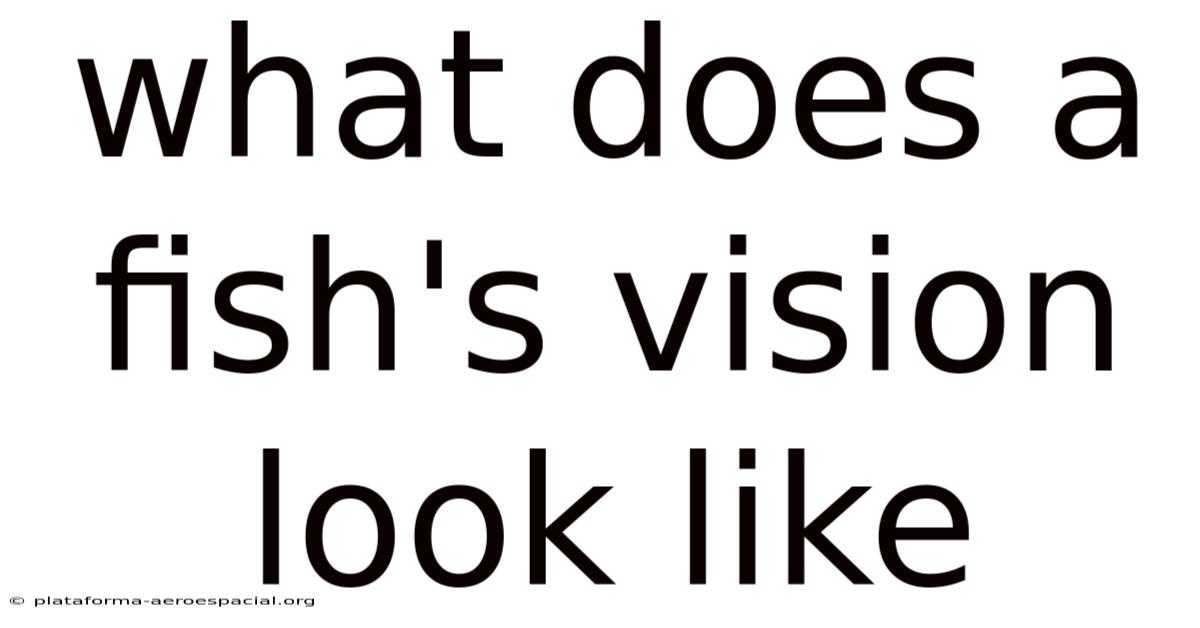What Does A Fish's Vision Look Like