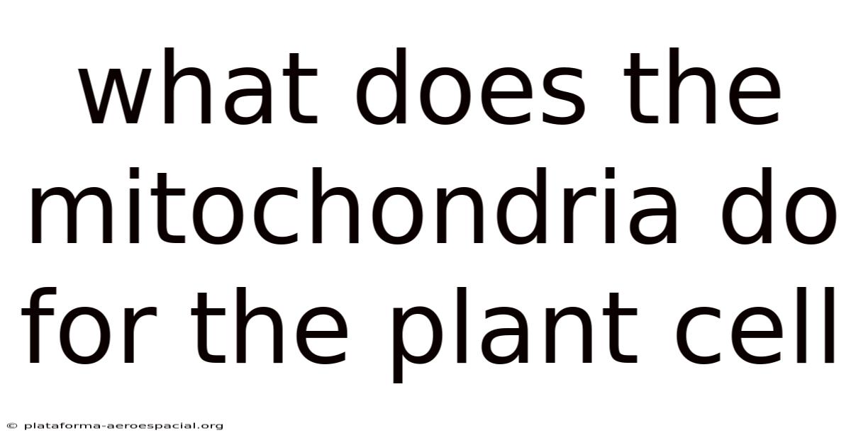 What Does The Mitochondria Do For The Plant Cell