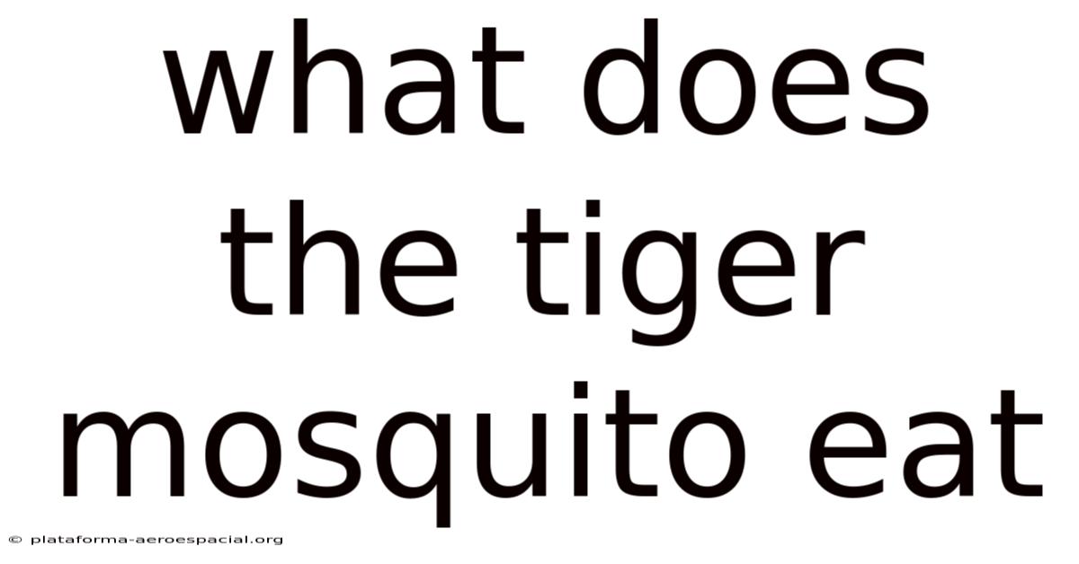 What Does The Tiger Mosquito Eat