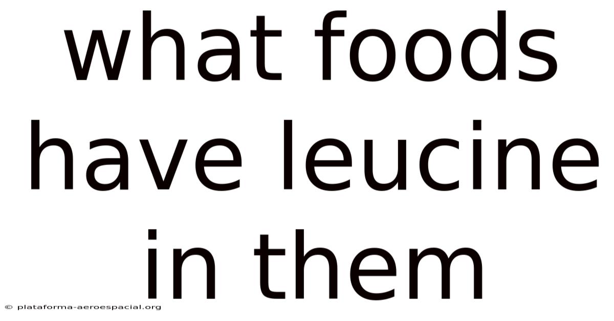 What Foods Have Leucine In Them