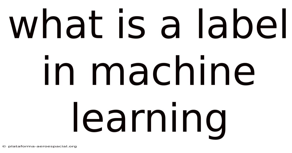 What Is A Label In Machine Learning