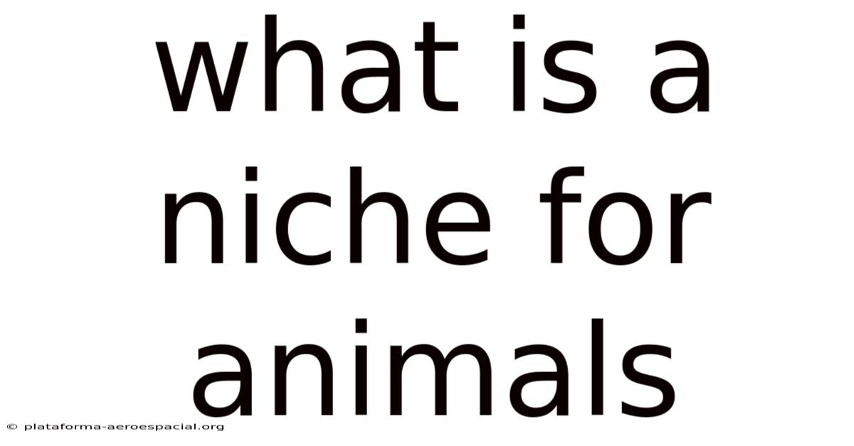 What Is A Niche For Animals