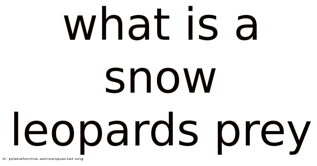 What Is A Snow Leopards Prey
