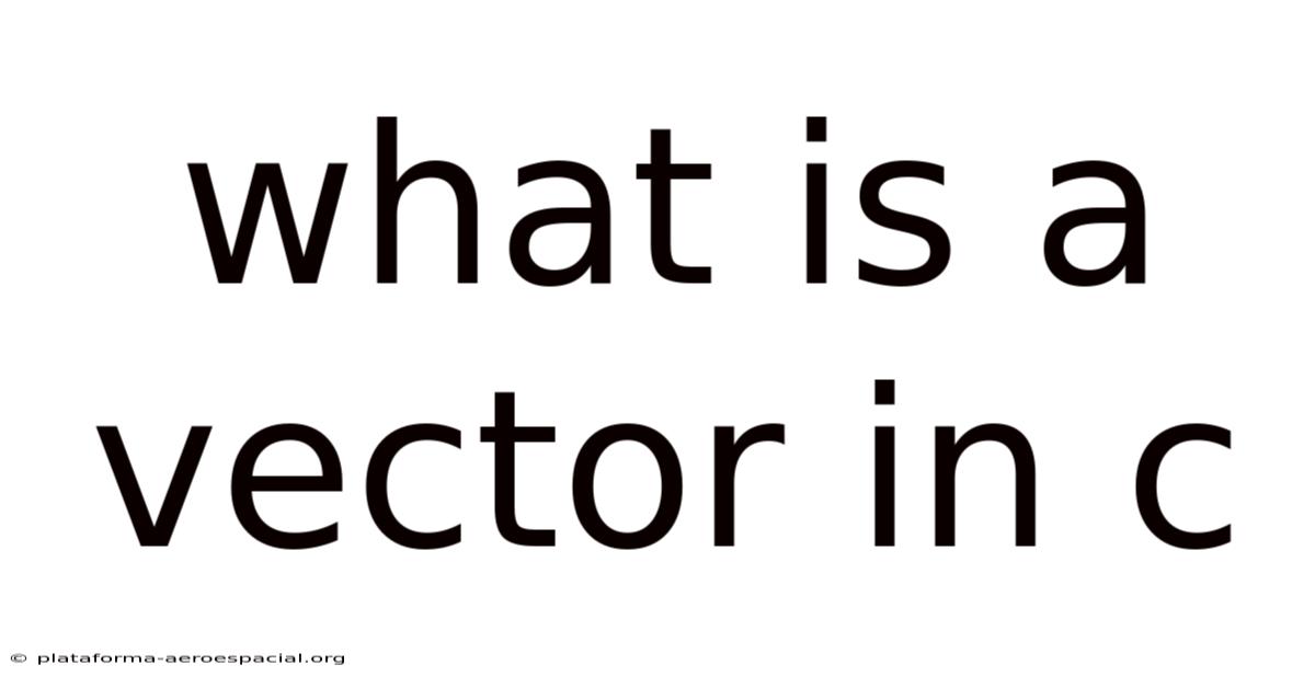 What Is A Vector In C