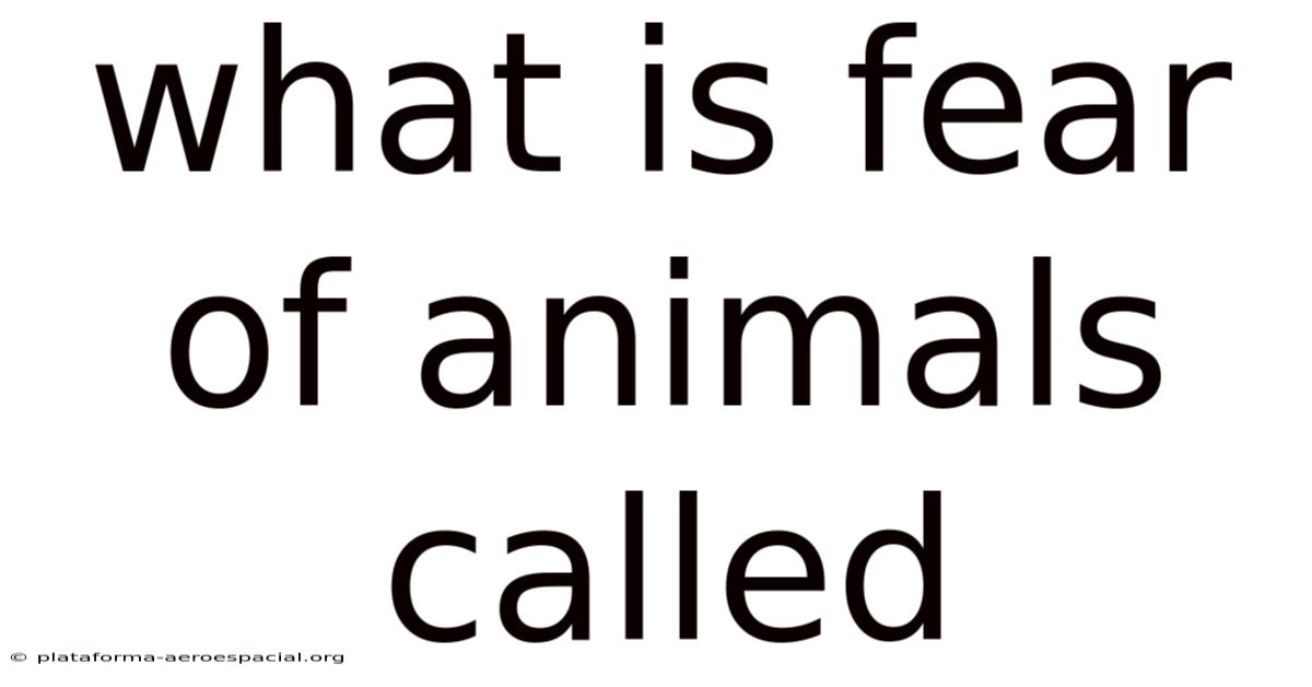 What Is Fear Of Animals Called