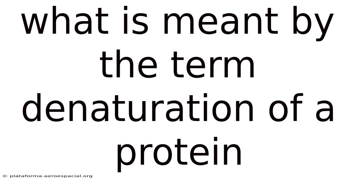 What Is Meant By The Term Denaturation Of A Protein