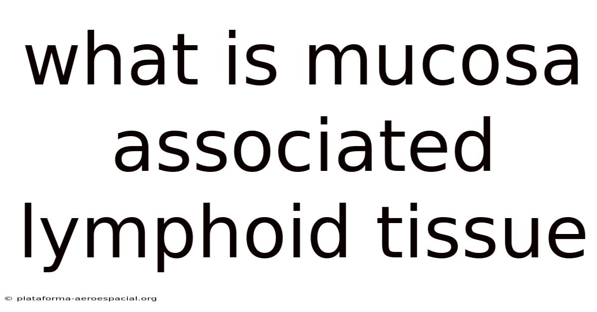 What Is Mucosa Associated Lymphoid Tissue