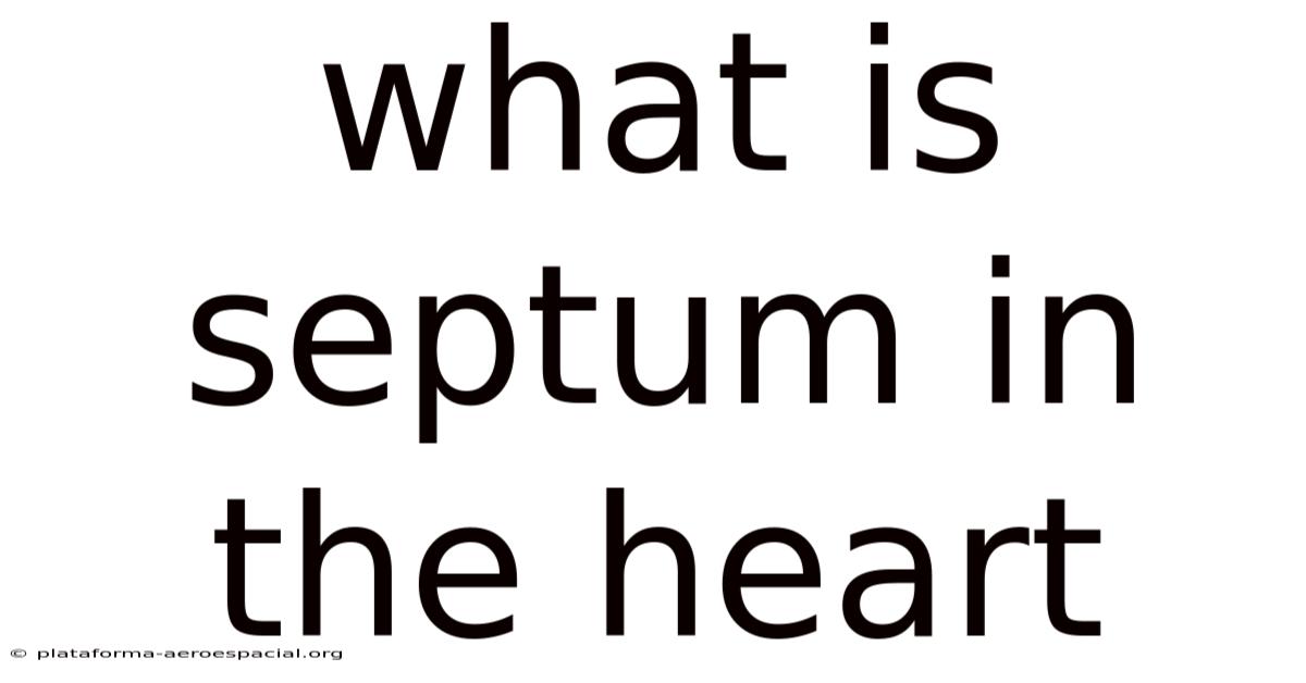 What Is Septum In The Heart