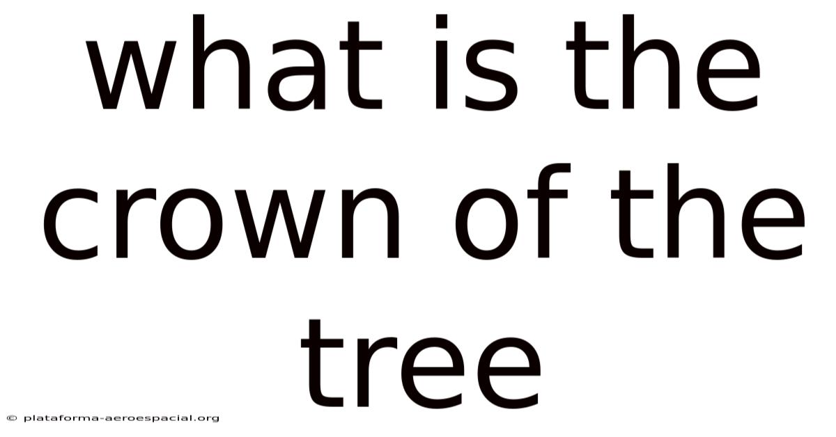 What Is The Crown Of The Tree