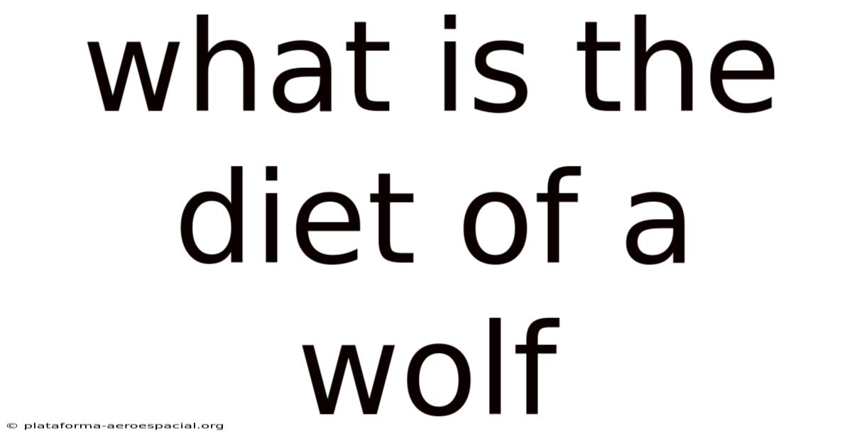 What Is The Diet Of A Wolf