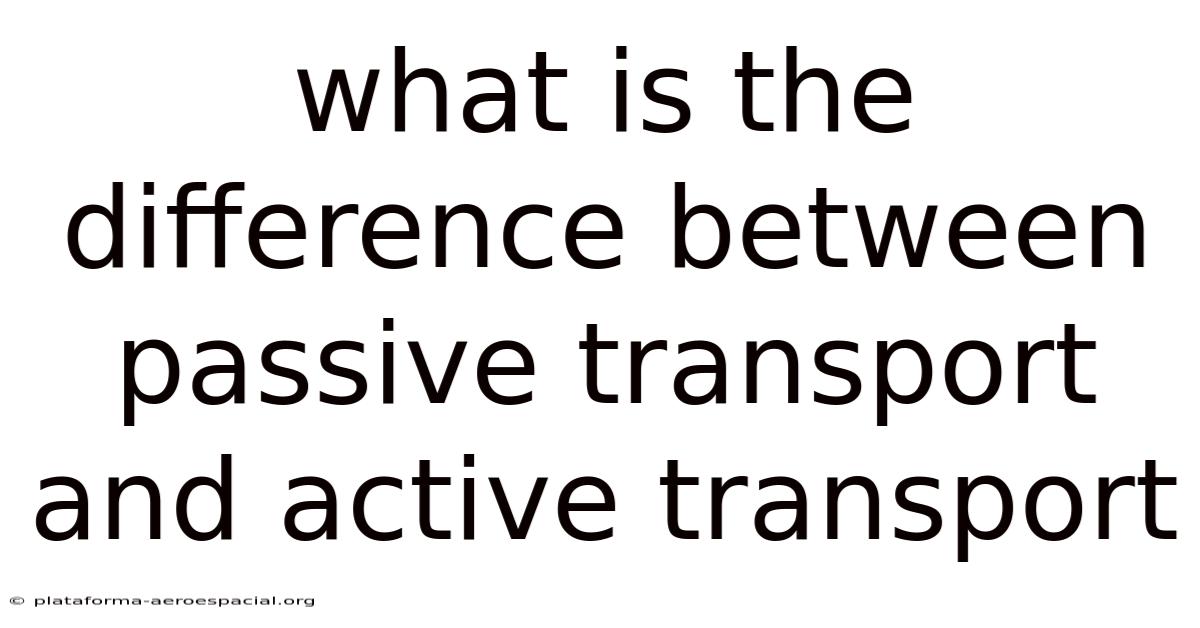What Is The Difference Between Passive Transport And Active Transport
