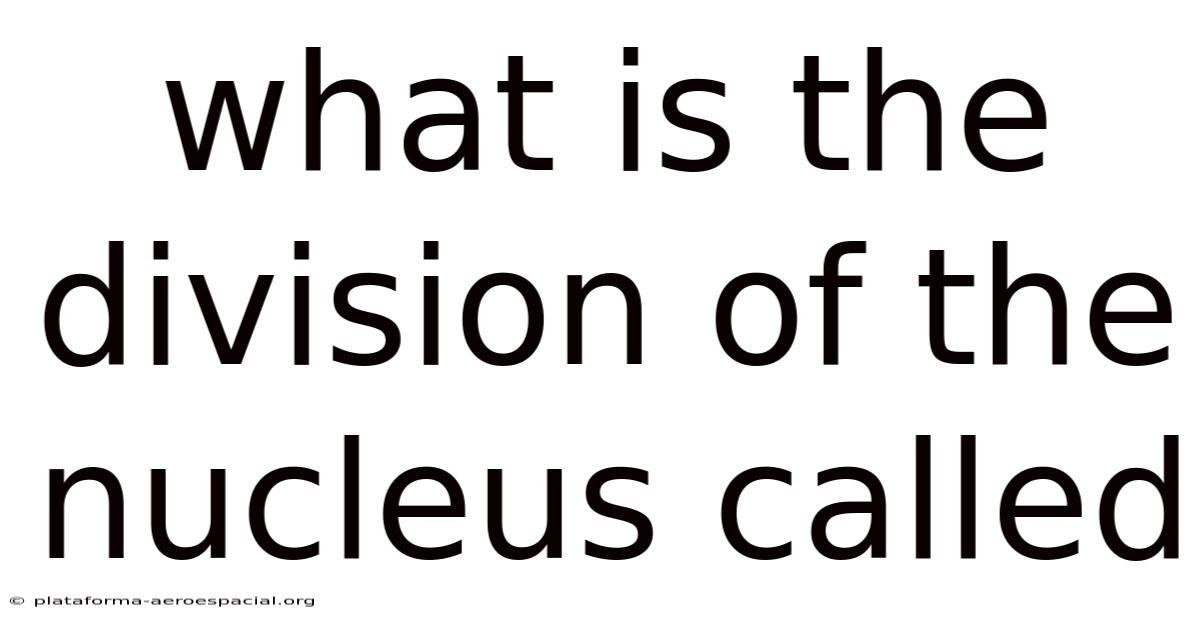 What Is The Division Of The Nucleus Called