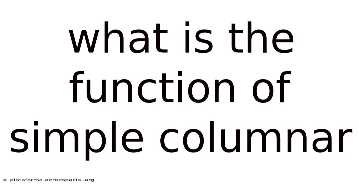 What Is The Function Of Simple Columnar