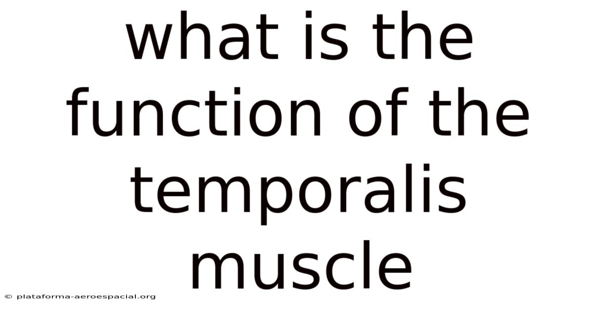 What Is The Function Of The Temporalis Muscle